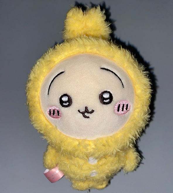 Front side of the bunny doll